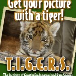 TIGERS Preservation Station