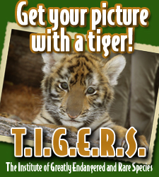 TIGERS Preservation Station