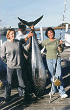 Tuna Fishing