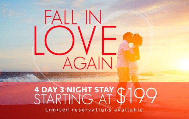 Fall in love again