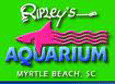 Ripleys Aquarium