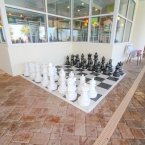 Indoor chess