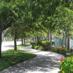 Walkway by street